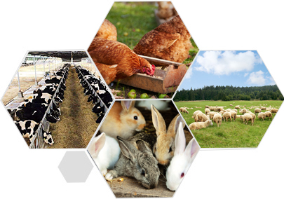 完善服務(wù)體系 合作無(wú)憂(yōu) 完善服務(wù)體系 合作無(wú)憂(yōu)